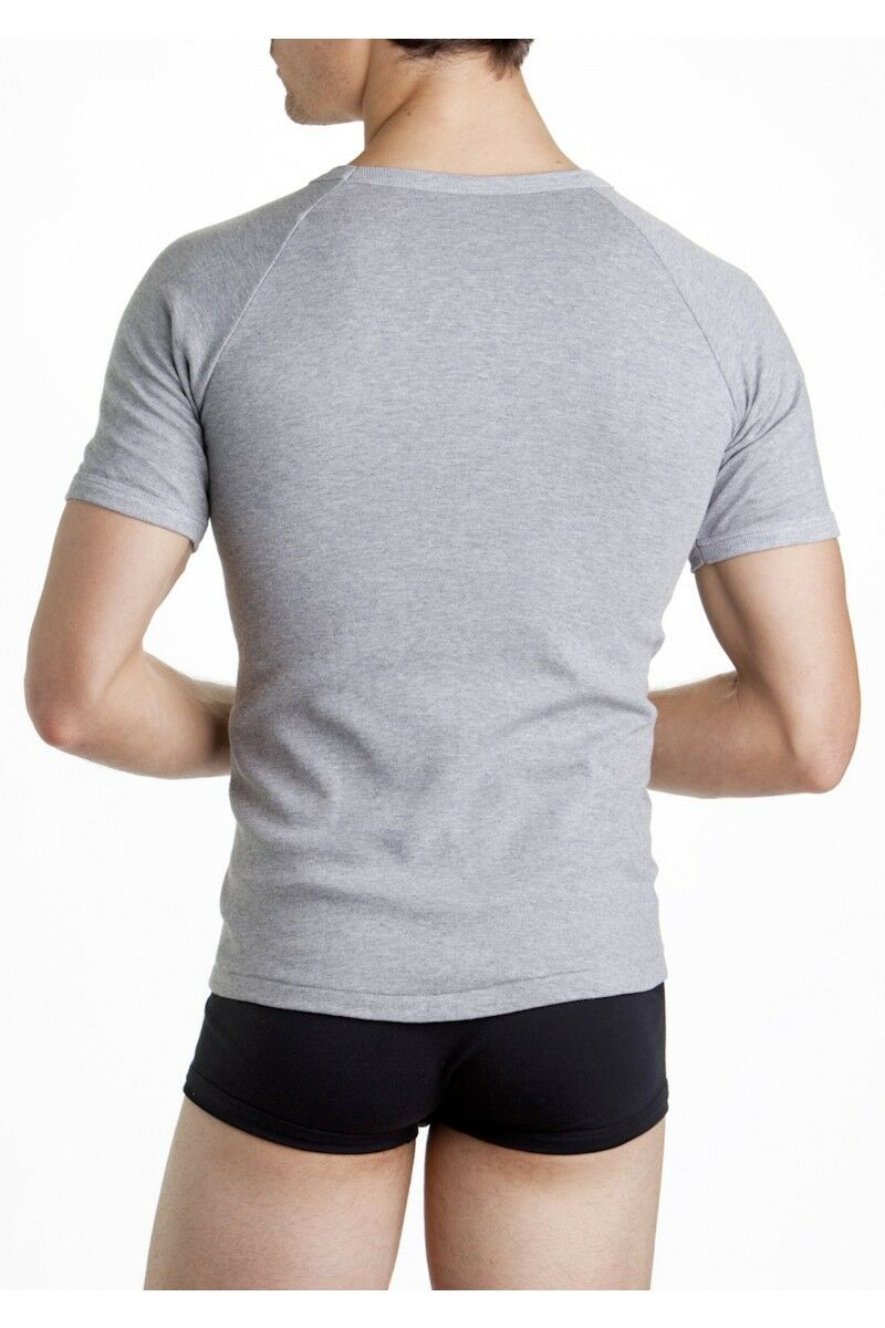 Mens Bonds Raglan Crew T-Shirt Grey
