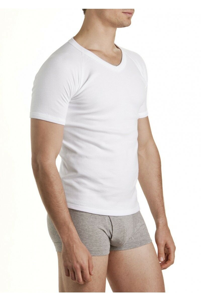 Mens Bonds Raglan V-Neck T-Shirt White