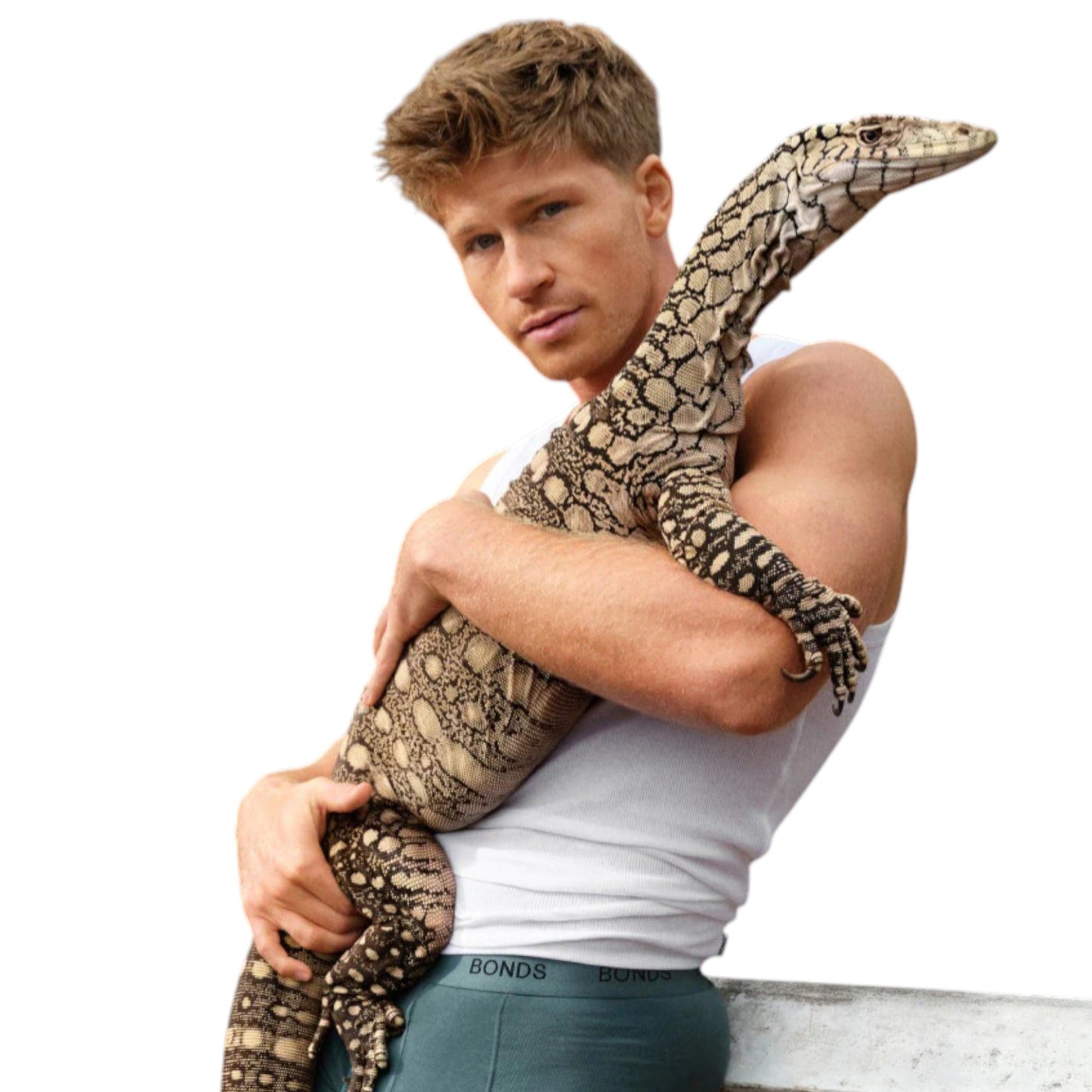 6 Pack Mens Bonds Chesty White