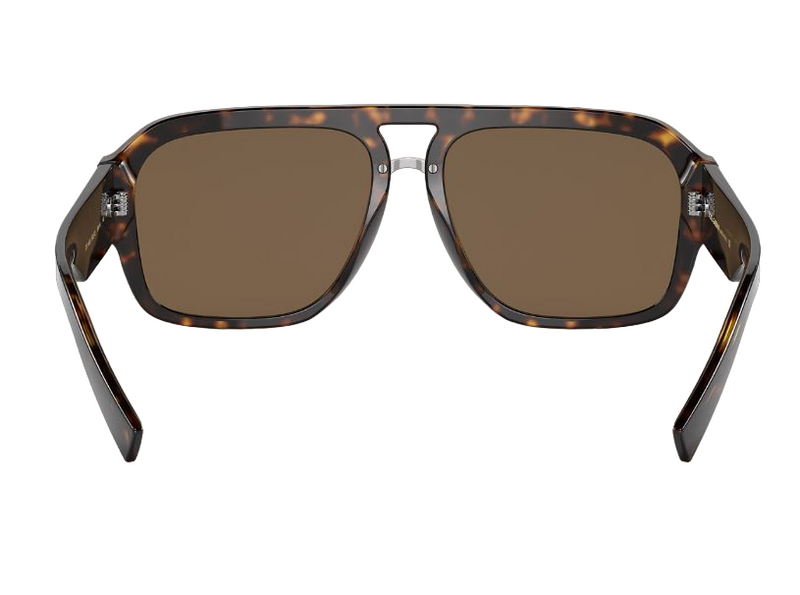 Mens Dolce & Gabbana Sunglasses Dd 4403 Havana Dark Brown Sunnies