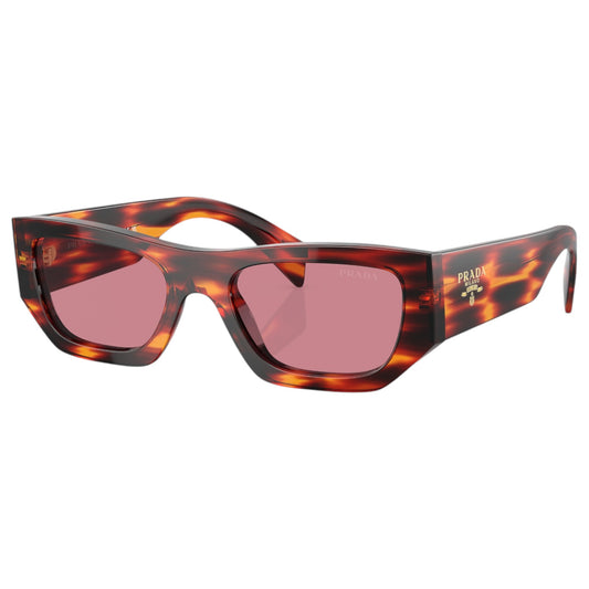 Womens Prada PRA01S Sunglasses Havana Red/Dark Violet