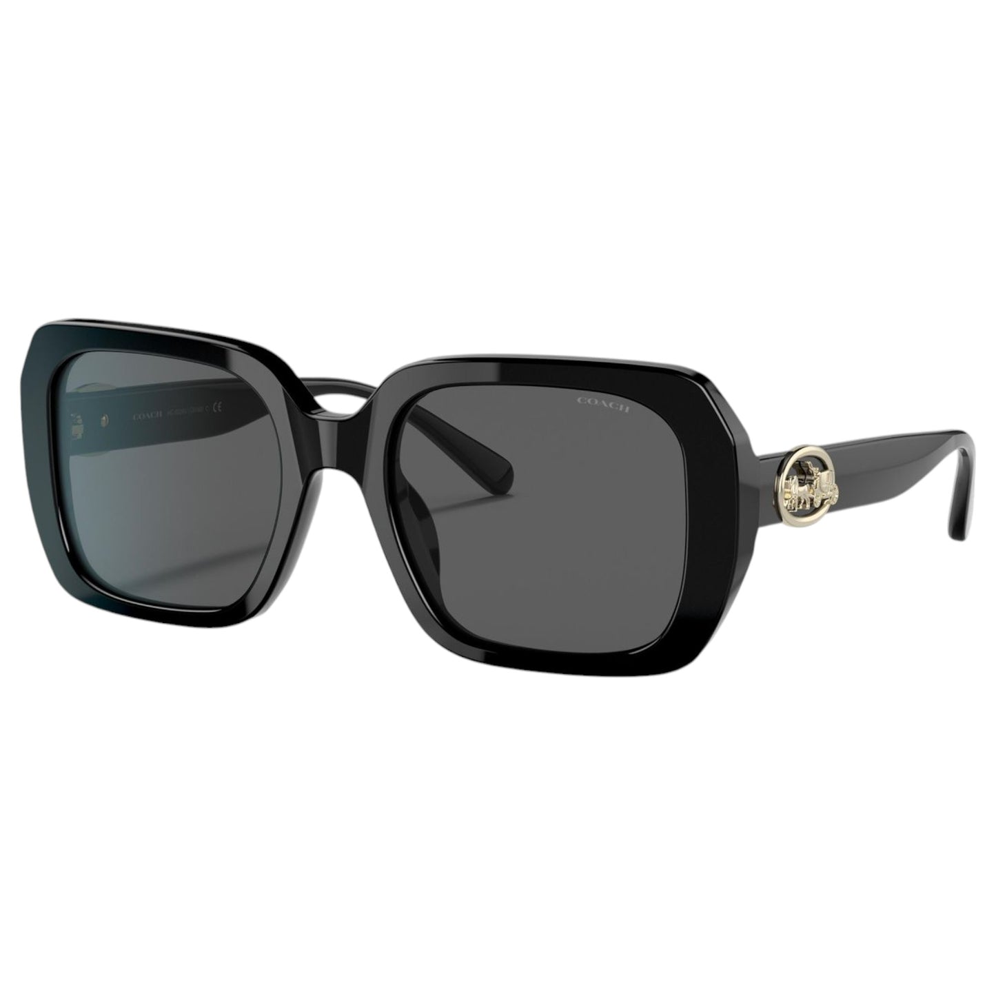 Womens Coach HC8329U Sunglasses Black/ Dark Grey