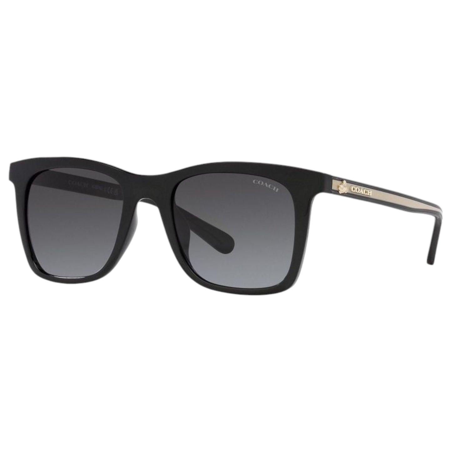 Womens Coach HC8374U CH561 Sunglasses Black