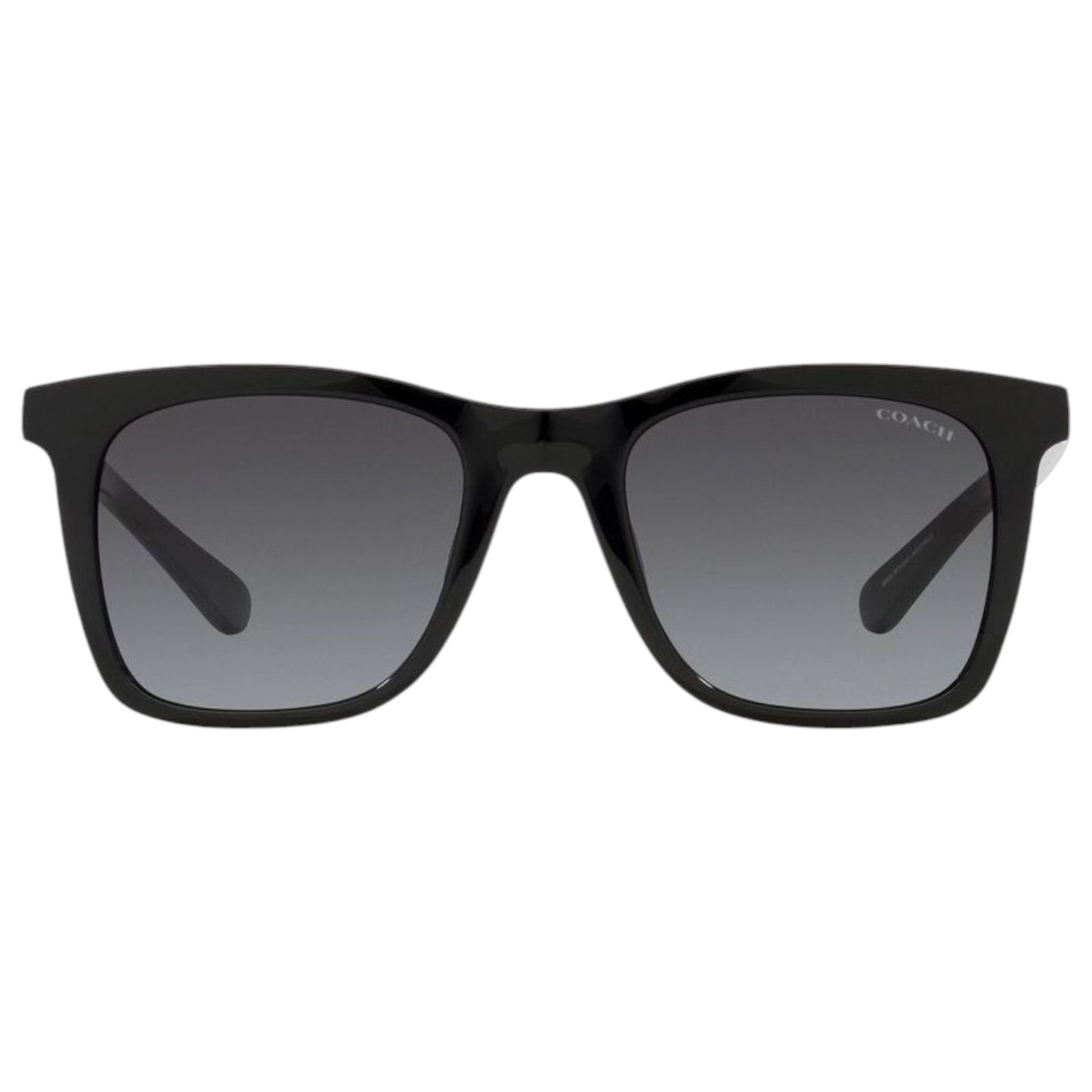 Womens Coach HC8374U CH561 Sunglasses Black