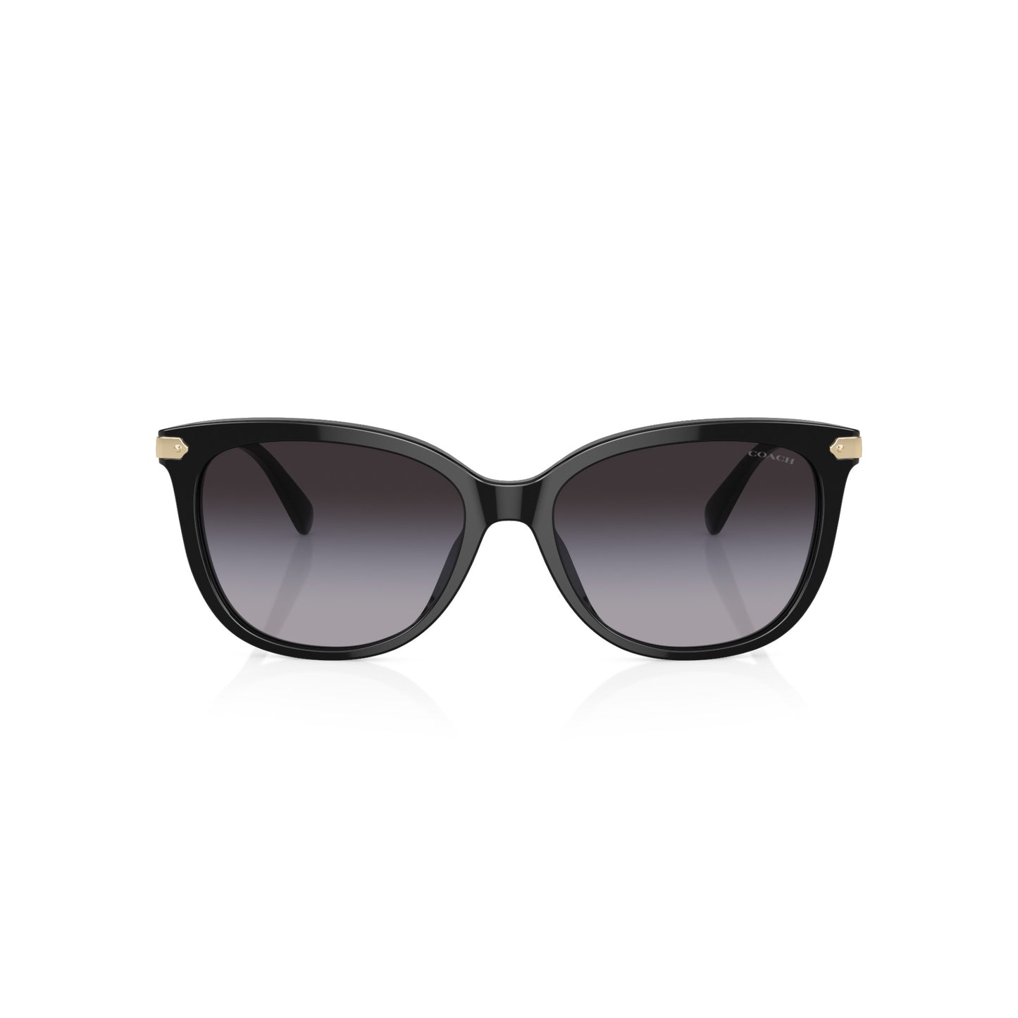 Womens Coach HC8378U Sunglasses Black/Grey
