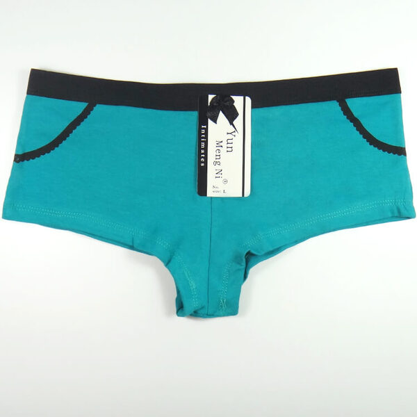 12 X Womens Sheer Spandex / Cotton Briefs - Assorted Underwear Undies 86985