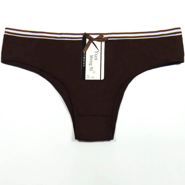 24 X Womens Sheer Spandex / Cotton Briefs - Assorted Underwear Undies 89156