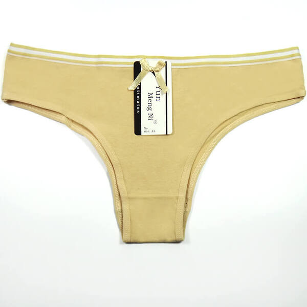 30 X Womens Sheer Spandex / Cotton Briefs - Assorted Underwear Undies 89156