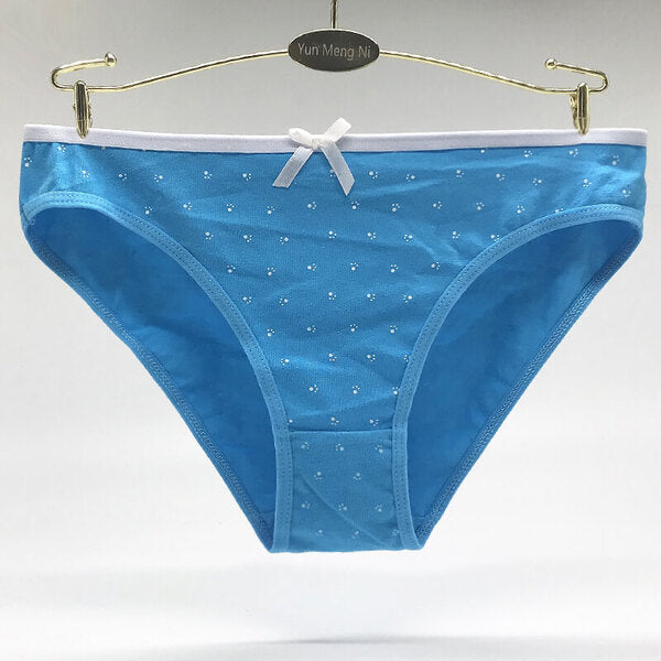 24 X Womens Sheer Spandex / Cotton Briefs - Assorted Underwear Undies 89197
