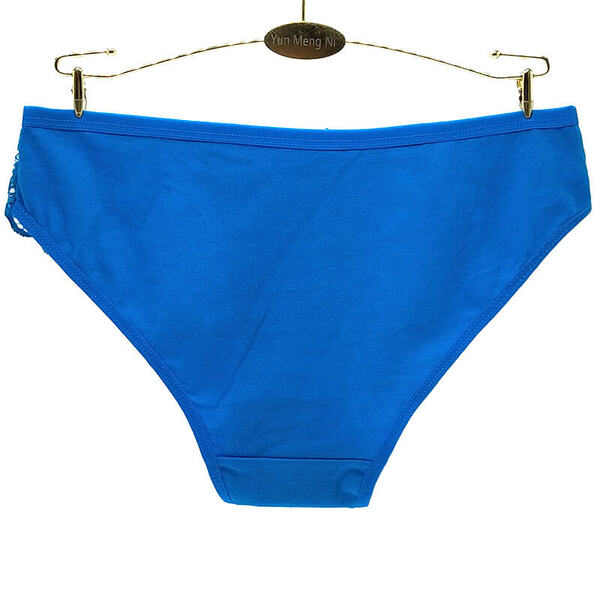 30 X Womens Sheer Spandex / Cotton Briefs - Assorted Underwear Undies 89308
