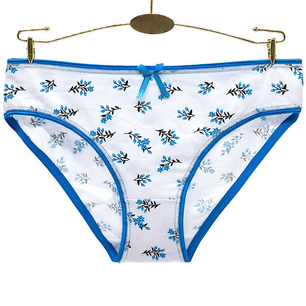 30 X Womens Sheer Spandex / Cotton Briefs - Assorted Underwear Undies 89393