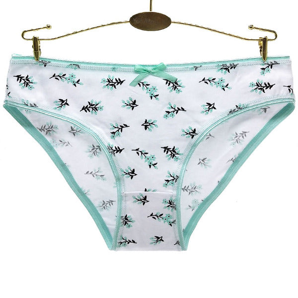 30 X Womens Sheer Spandex / Cotton Briefs - Assorted Underwear Undies 89393