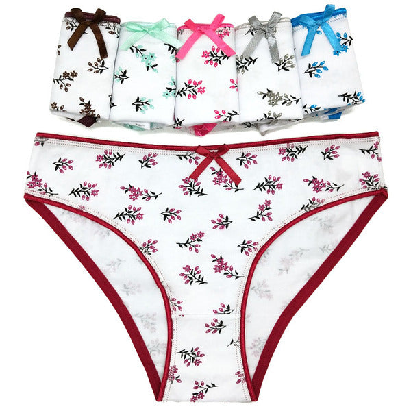 12 X Womens Sheer Spandex / Cotton Briefs - Assorted Underwear Undies 89393