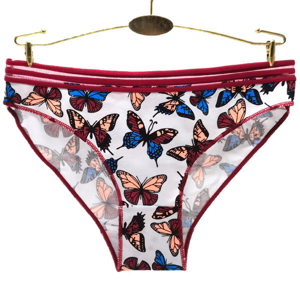 24 X Womens Sheer Spandex / Cotton Briefs - Assorted Underwear Undies 89532