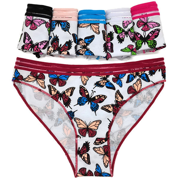 24 X Womens Sheer Spandex / Cotton Briefs - Assorted Underwear Undies 89532