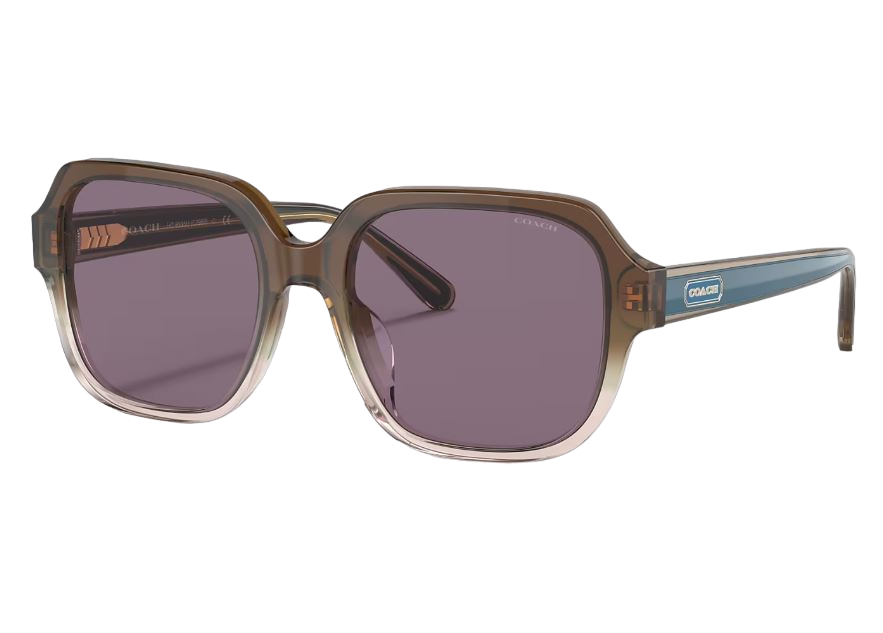 Womens Coach HC8335U C7989 Sunglasses Multi