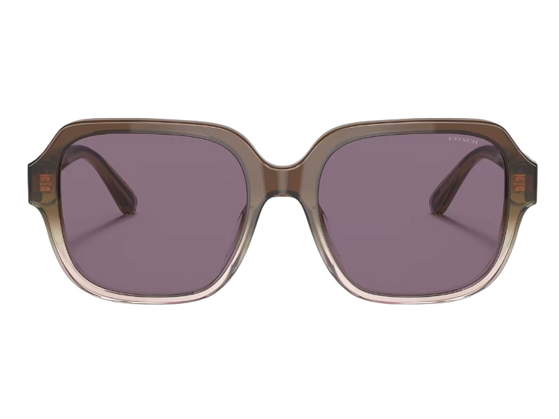 Womens Coach Sunglasses Hc8335u C7989 Transparent Brown Violet Sunnies