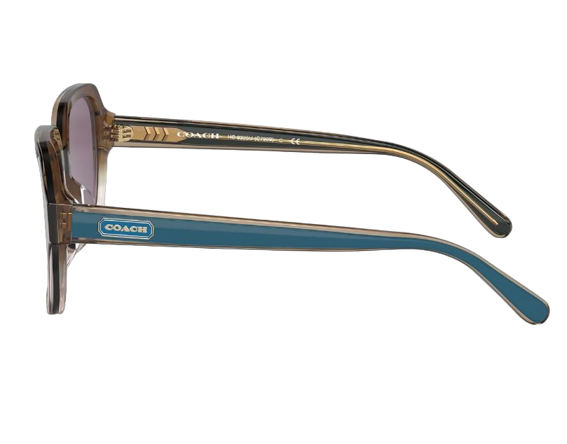 Womens Coach HC8335U C7989 Sunglasses Multi
