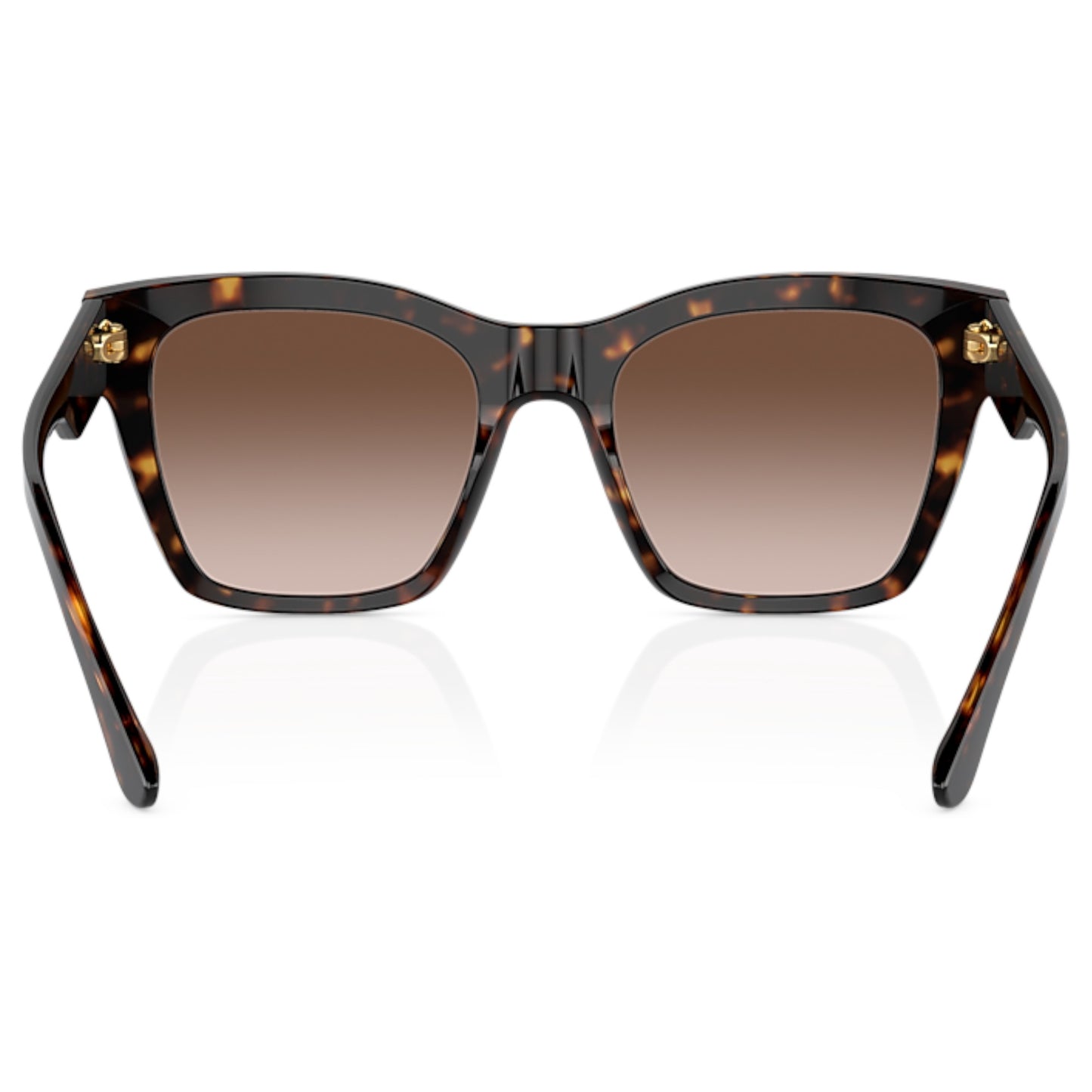 Women Dolce&Gabbana Dg4384 502/13 Tortoise Square Gradient Brown Sunglasses