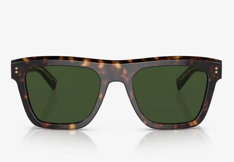 Mens Dolce & Gabbana Sunglasses Dg4420 Havana/ Dark Green Sunnies
