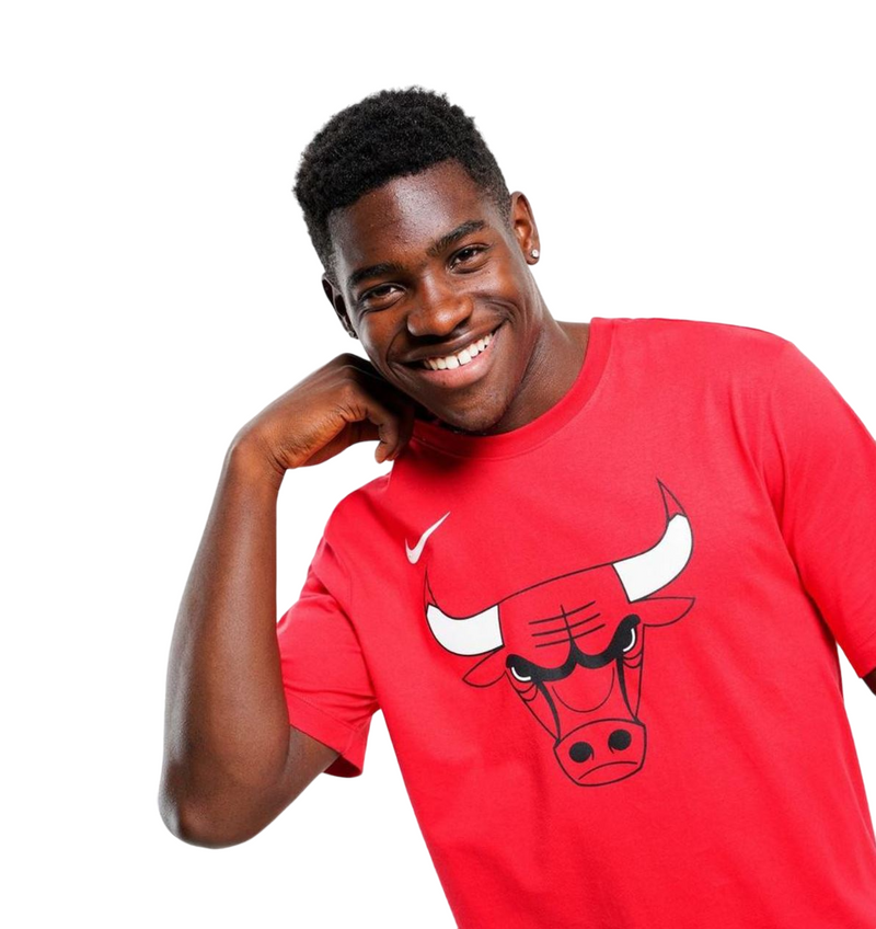 Mens Nike Nba Chicago Bulls Logo Essential Red Short Sleeve T-Shirt