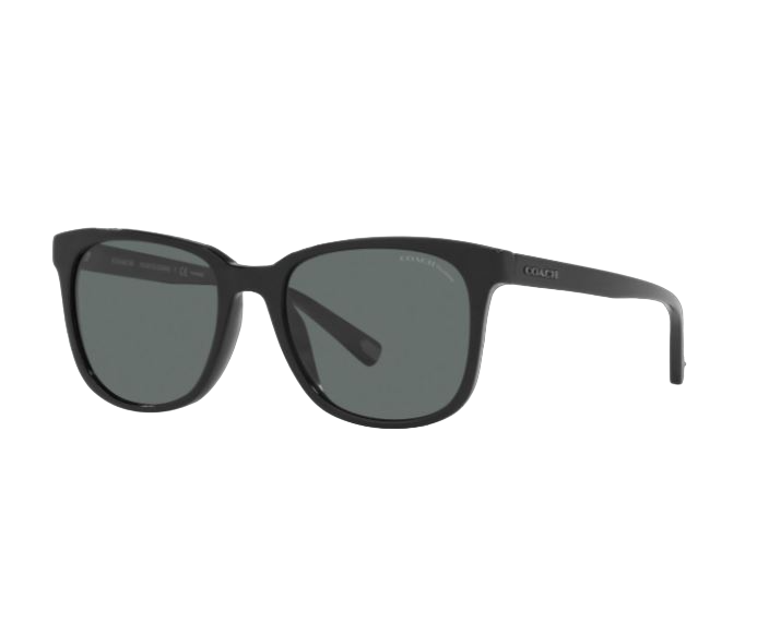 Mens Coach HC8313U Polarized Sunglasses Black/ Dark Grey