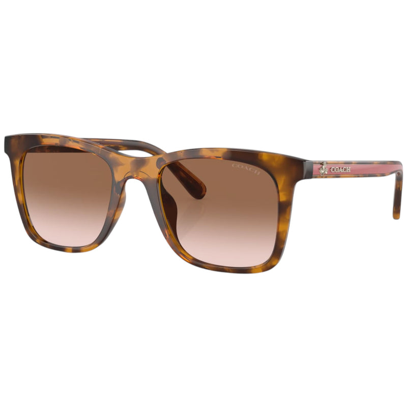 Womens Coach Sunglasses Hc8374u Dark Tortoise/ Brown Pink Gradient Sunnies