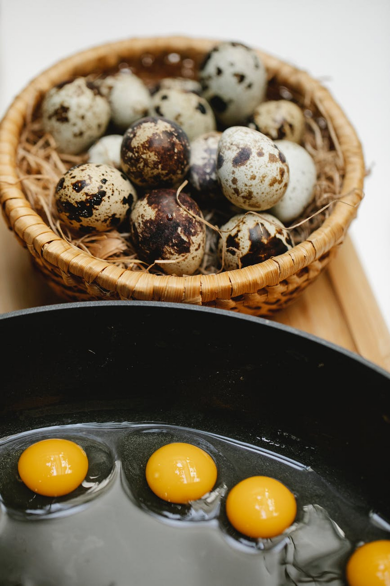 100 X Grey Quail Egg Cartons For 18 Eggs