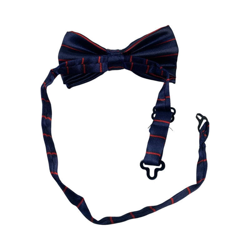 Boys Navy With Red Stripes Patterned Bow Tie