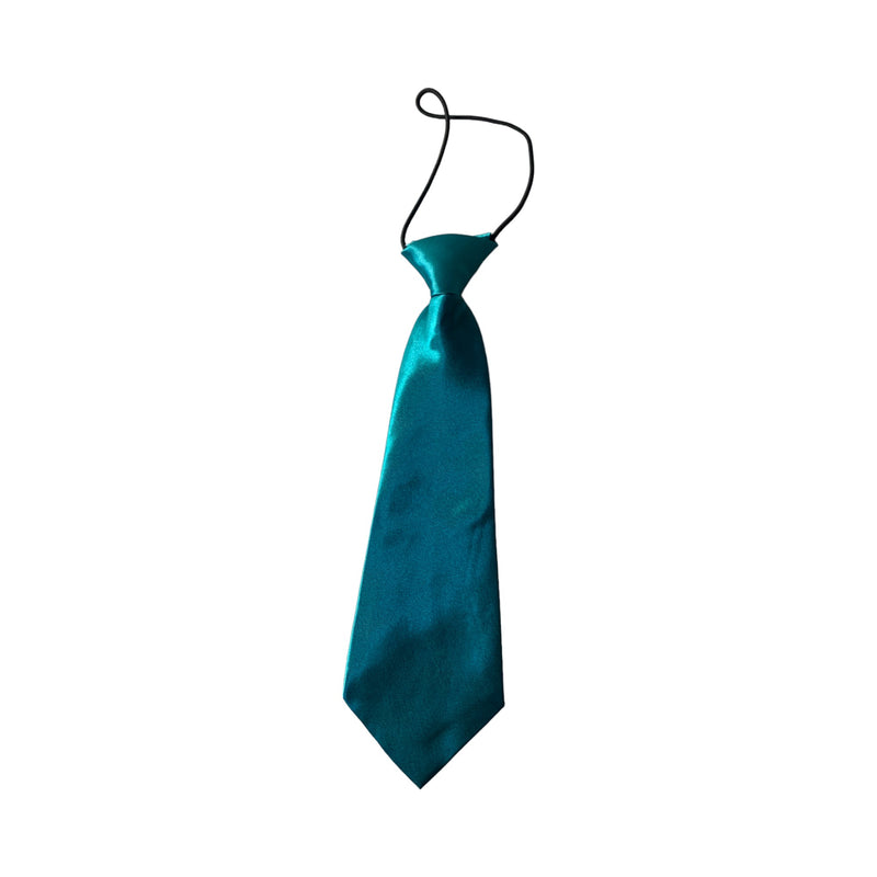 Kids Boys Turquoise Elastic Plain Neck Tie