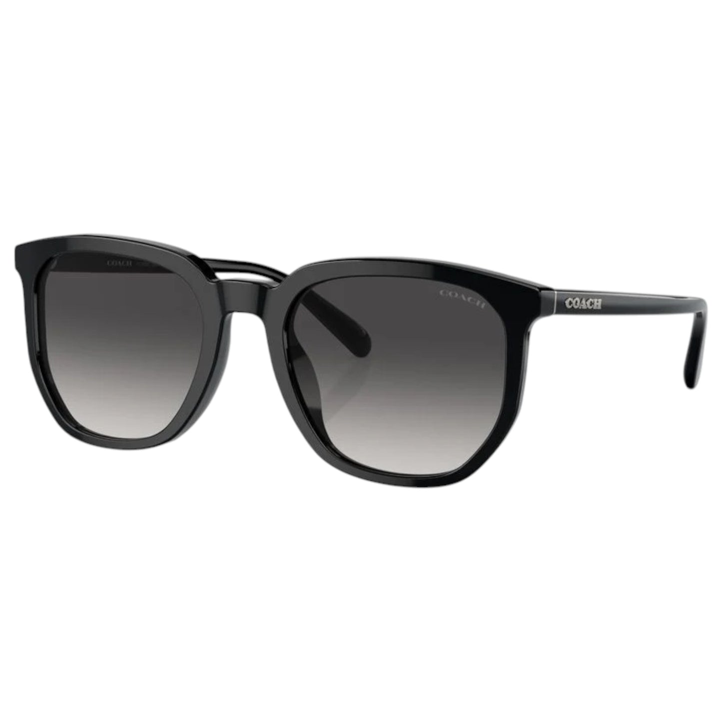 Mens Coach HC8384U Sunglasses Black/Dark Grey