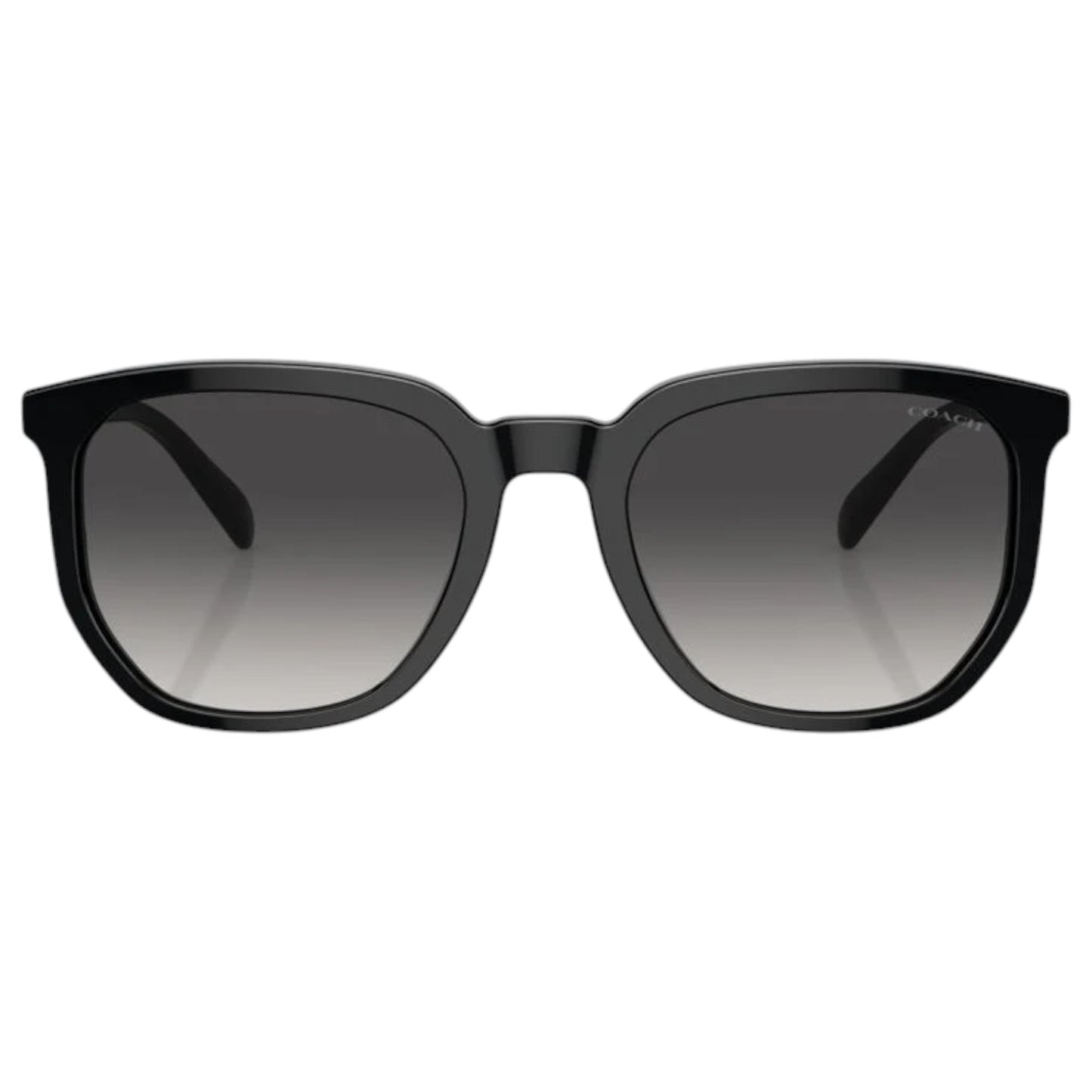 Mens Coach HC8384U Sunglasses Black/Dark Grey
