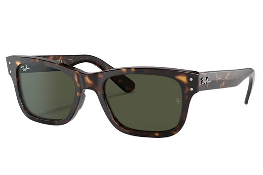 Mens Ray-Ban Burbank RB2283 Sunglasses Polished Havana/ Green