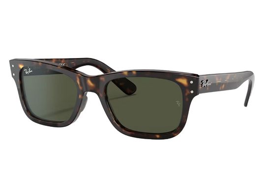 Mens Ray-Ban Burbank RB2283 Sunglasses Polished Havana/ Green