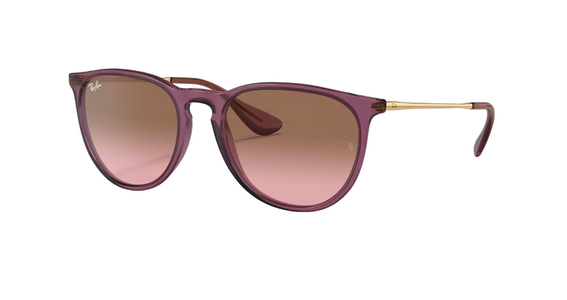 Womens Ray Ban Sunglasses Rb4171 Erika Classic Transparent Violet Sunnies