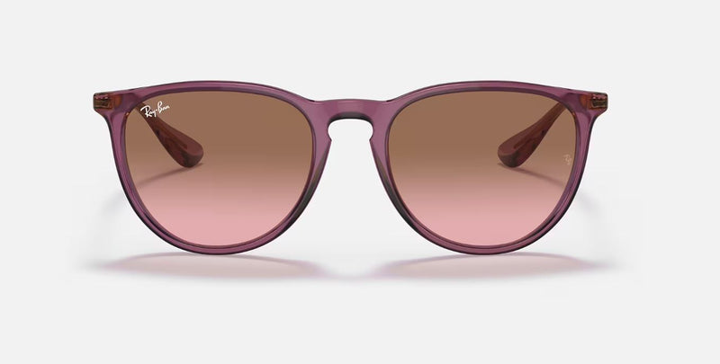 Womens Ray Ban Sunglasses Rb4171 Erika Classic Transparent Violet Sunnies