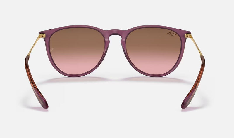 Womens Ray Ban Sunglasses Rb4171 Erika Classic Transparent Violet Sunnies