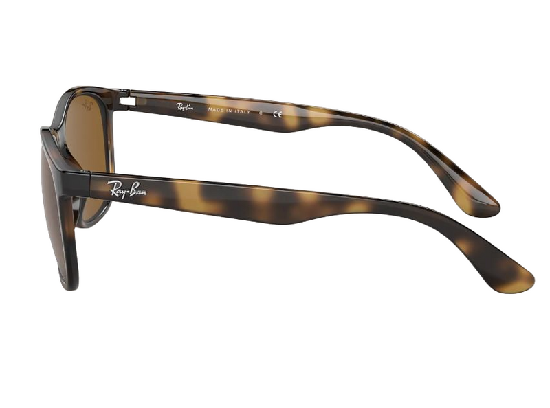Unisex Ray Ban Sunglasses Rb4374 Havana Brown Sunnies