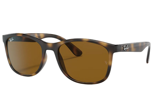 Mens Ray-Ban RB4374 Sunglasses Multi