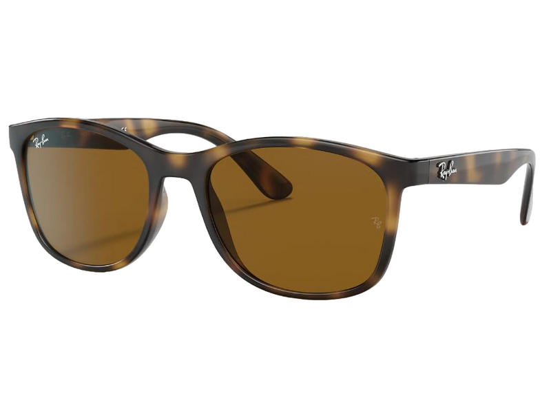 Unisex Ray Ban Sunglasses Rb4374 Havana Brown Sunnies