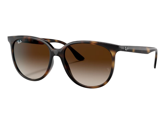 Mens Ray-Ban RB4378 Sunglasses Polished Havana/ Brown