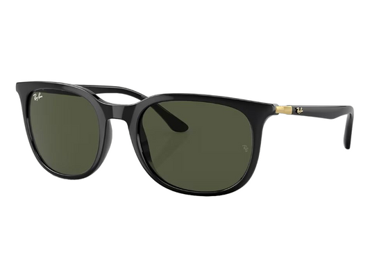 Mens Ray-Ban RB4386 Sunglasses Polished Black/ Green