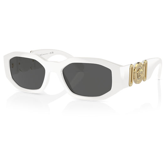 Mens Versace The Clans VE 4361 Sunglasses Black