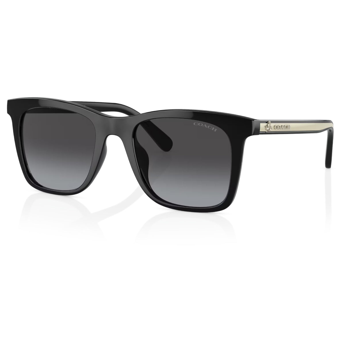 Womens Coach HC8374U CH561 Sunglasses Black