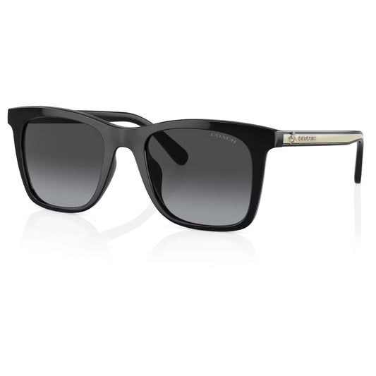 Womens Coach HC8374U CH561 Sunglasses Black