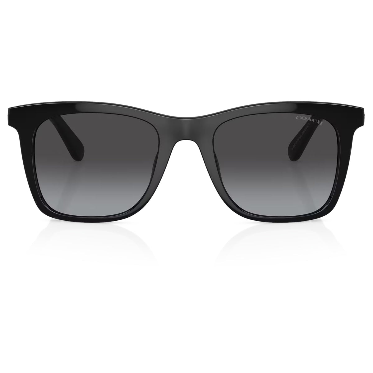 Womens Coach HC8374U CH561 Sunglasses Black