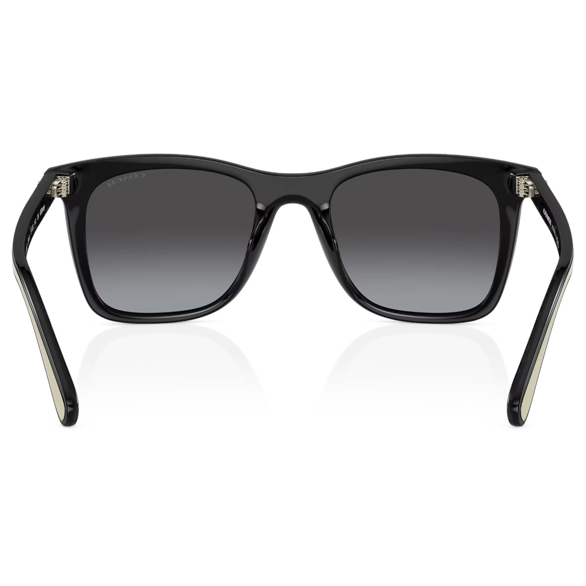 Womens Coach HC8374U CH561 Sunglasses Black