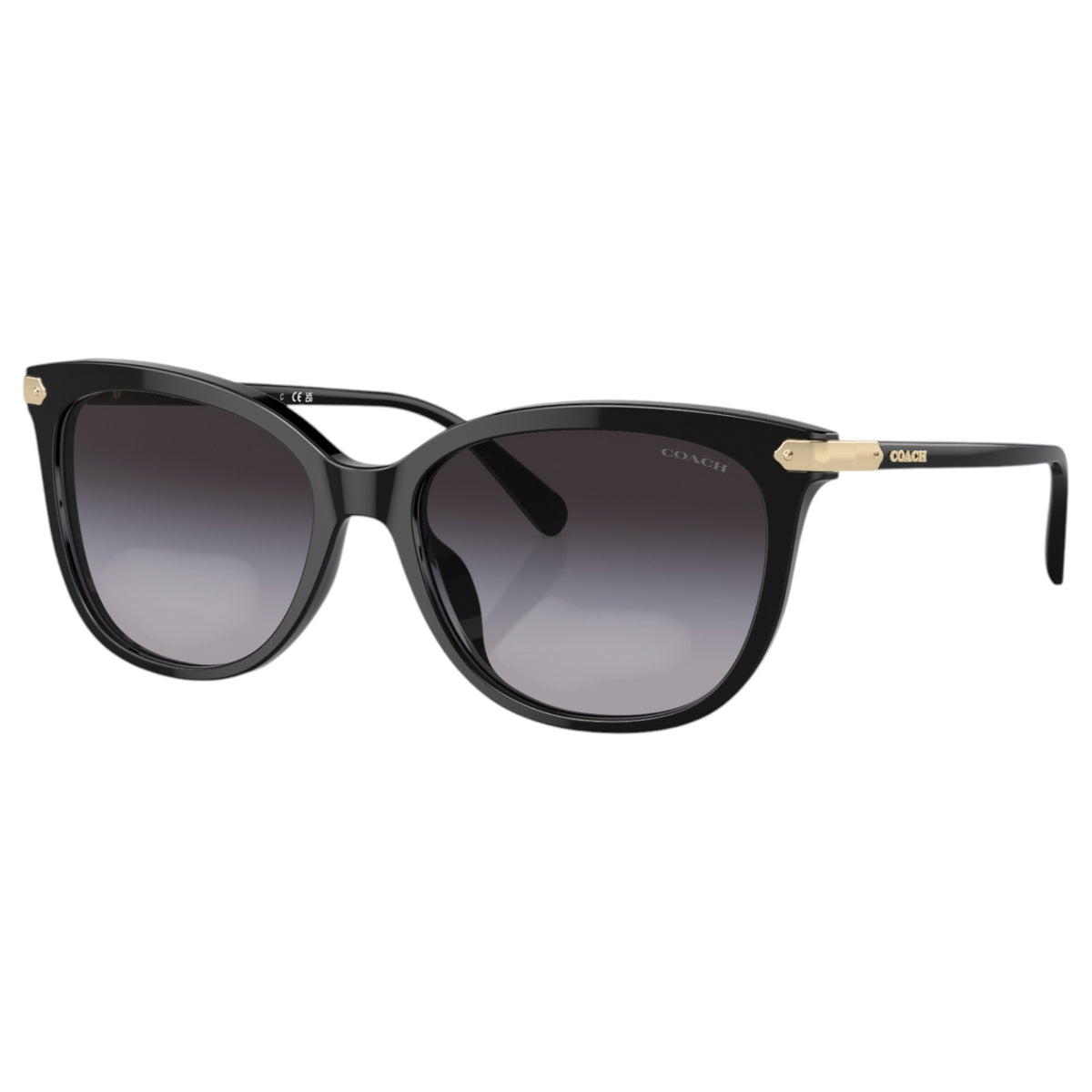 Womens Coach HC8378U Sunglasses Black/Grey