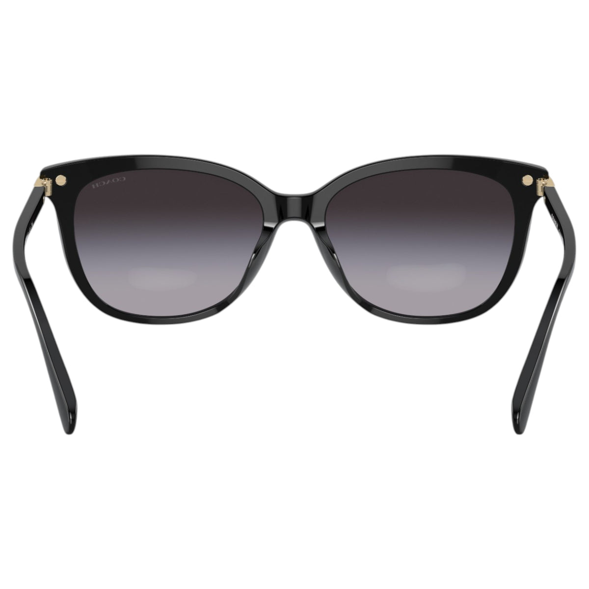 Womens Coach HC8378U Sunglasses Black/Grey