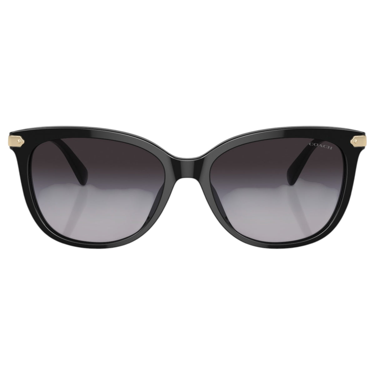 Womens Coach HC8378U Sunglasses Black/Grey